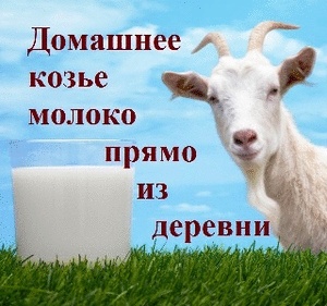 купить козье молоко